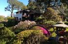 SF Japanese Tea Gardens
